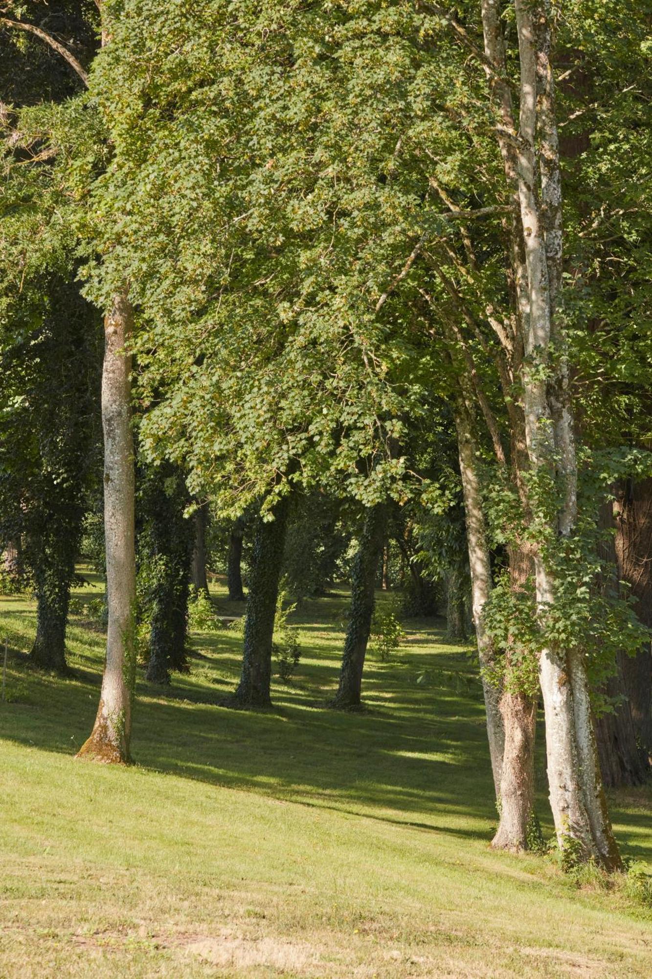 Domaine Le Mezo Hotel Ploeren Buitenkant foto